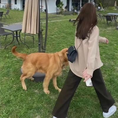 琅琊榜之风起长林